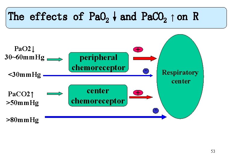 The effects of Pa. O 2↓and Pa. CO 2 ↑ on R <30 mm.