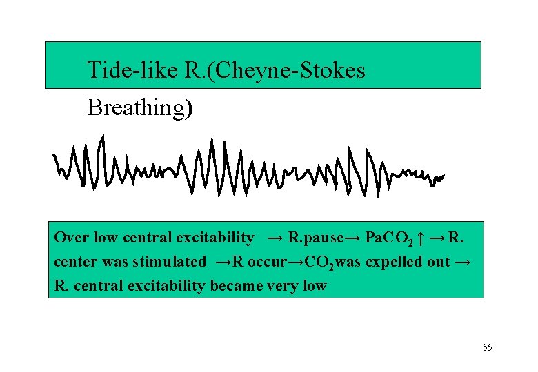 Tide-like R. (Cheyne-Stokes Breathing) Over low central excitability → R. pause→ Pa. CO 2