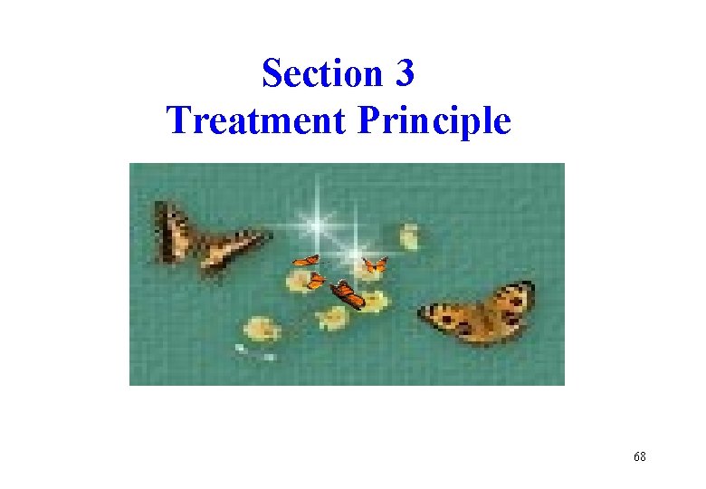 Section 3 Treatment Principle 68 