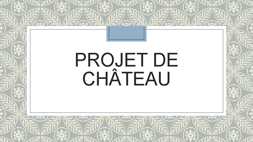 PROJET DE CH TEAU 