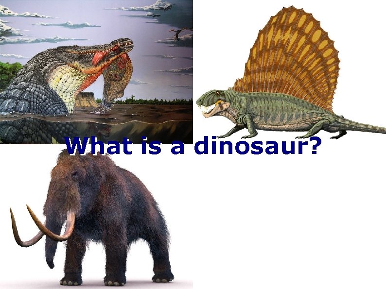 What is a dinosaur? 