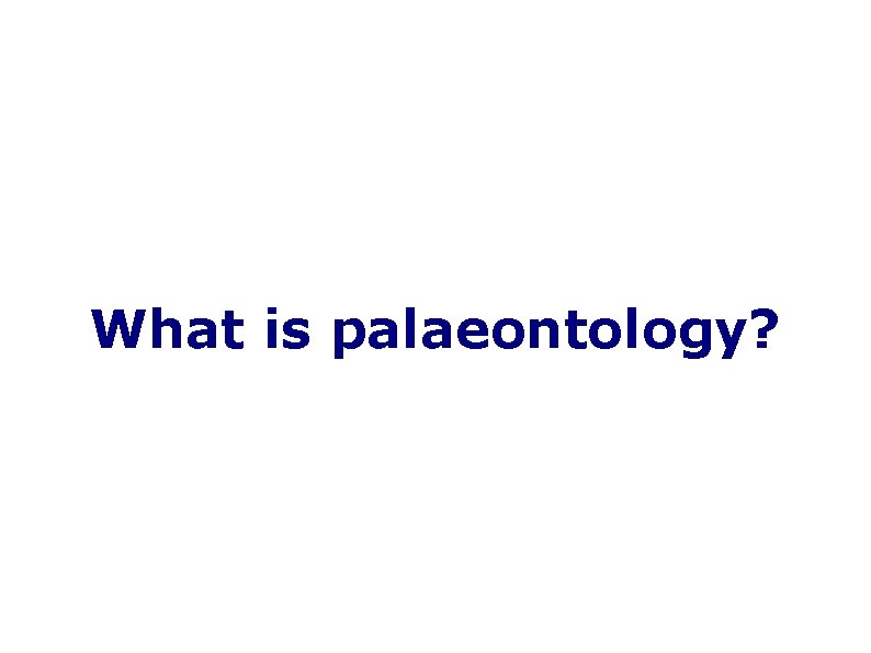What is palaeontology? 