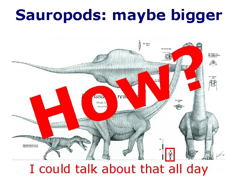 Sauropods: maybe bigger o H ? w I could talk about that all day