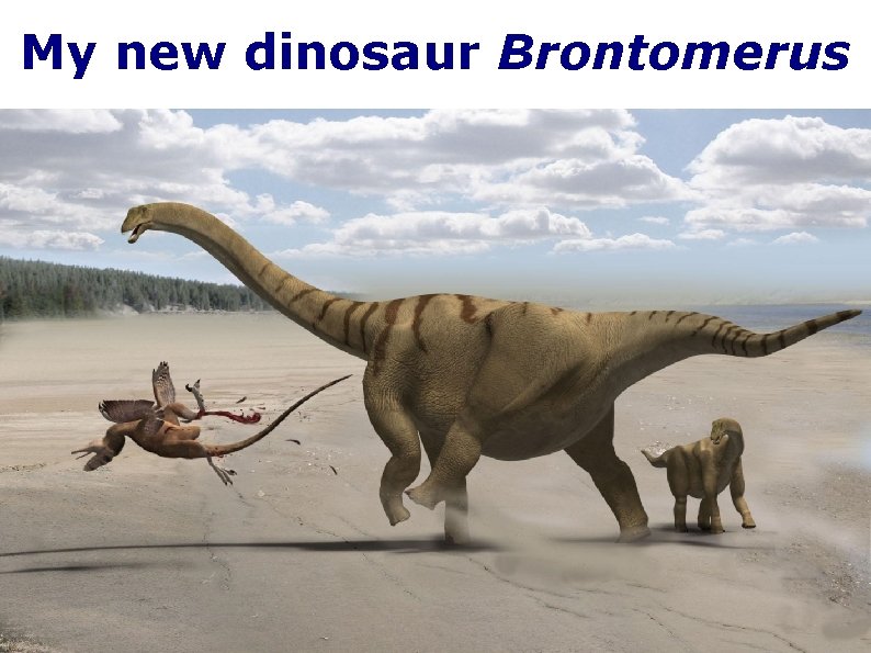 My new dinosaur Brontomerus 