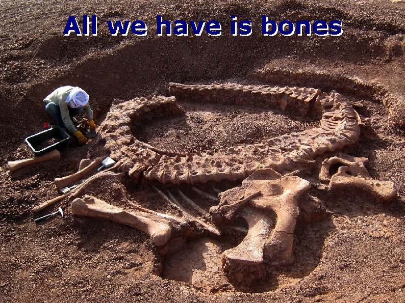 All we have is bones 