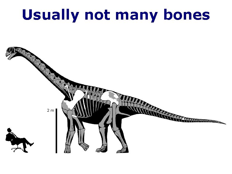 Usually not many bones 