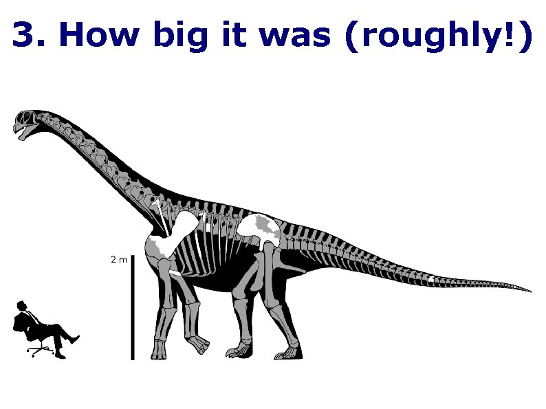 3. How big it was (roughly!) 
