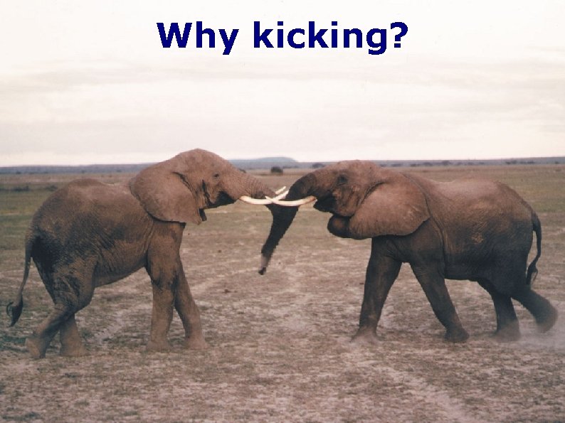 Why kicking? 