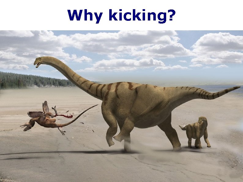 Why kicking? 