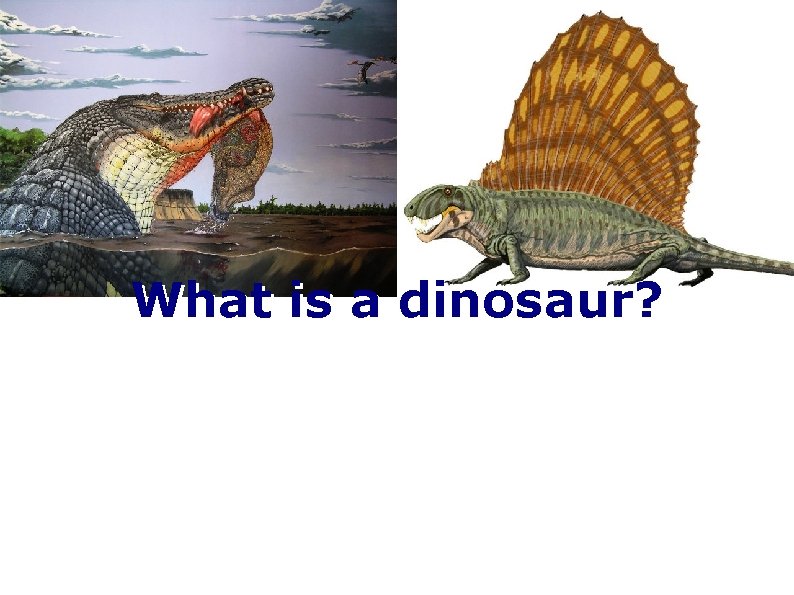 What is a dinosaur? 