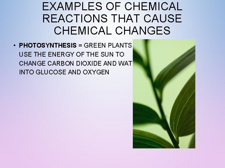 EXAMPLES OF CHEMICAL REACTIONS THAT CAUSE CHEMICAL CHANGES • PHOTOSYNTHESIS = GREEN PLANTS USE