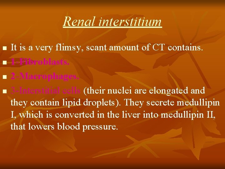 Renal interstitium n n It is a very flimsy, scant amount of CT contains.