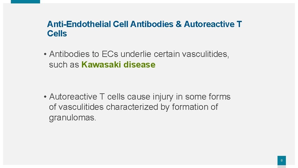 Anti-Endothelial Cell Antibodies & Autoreactive T Cells • Antibodies to ECs underlie certain vasculitides,