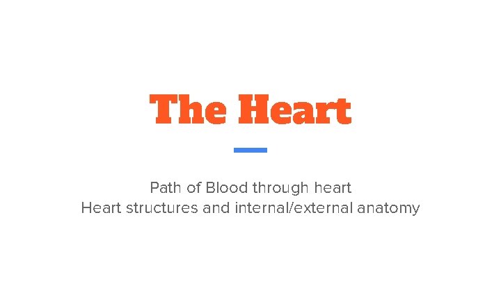 The Heart Path of Blood through heart Heart structures and internal/external anatomy 