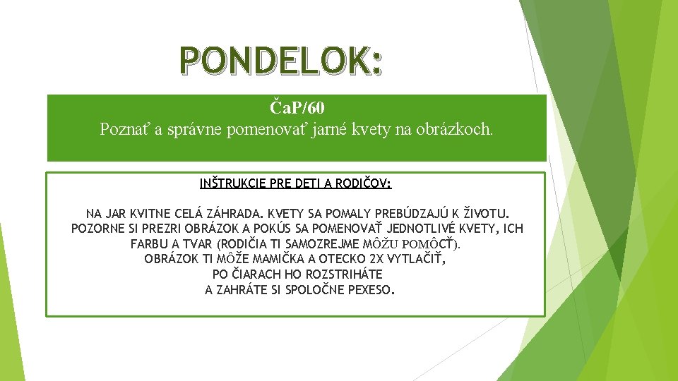 PONDELOK: Ča. P/60 Poznať a správne pomenovať jarné kvety na obrázkoch. INŠTRUKCIE PRE DETI