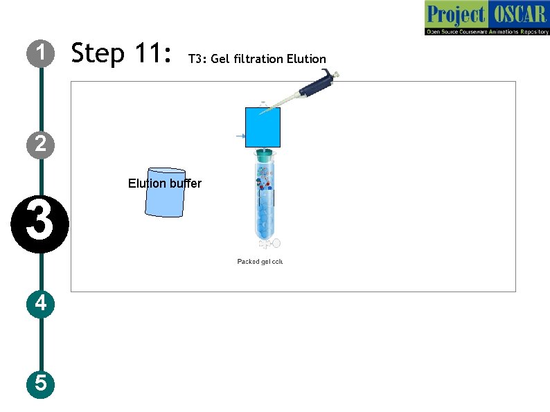 1 Step 11: T 3: Gel filtration Elution 2 3 4 5 Elution buffer