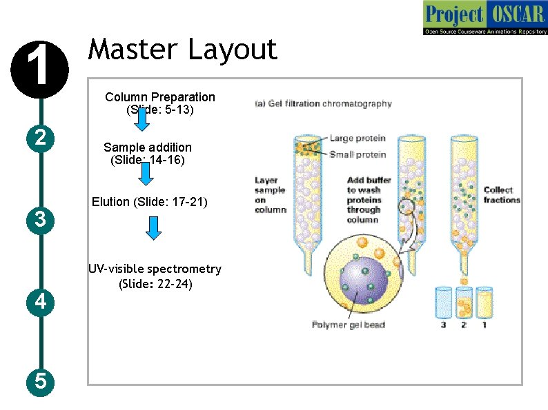 1 2 3 4 5 Master Layout Column Preparation (Slide: 5 -13) Sample addition