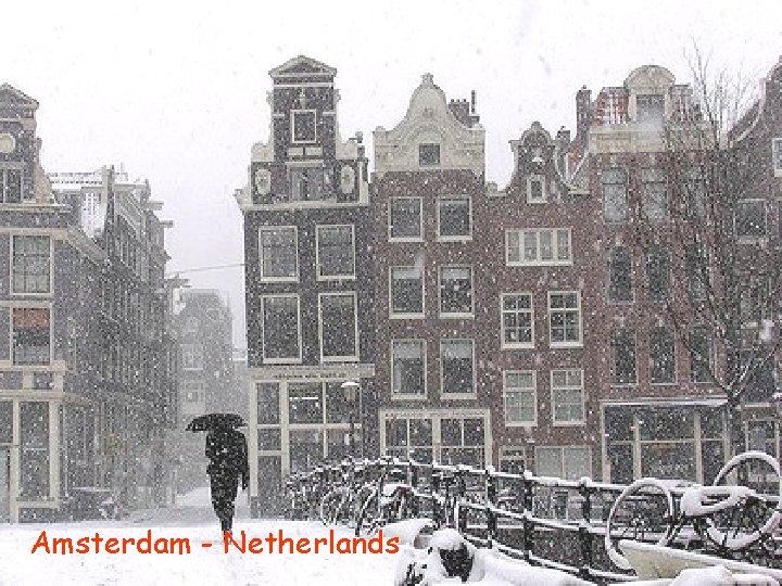 Amsterdam - Netherlands 