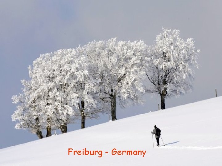 Freiburg - Germany 