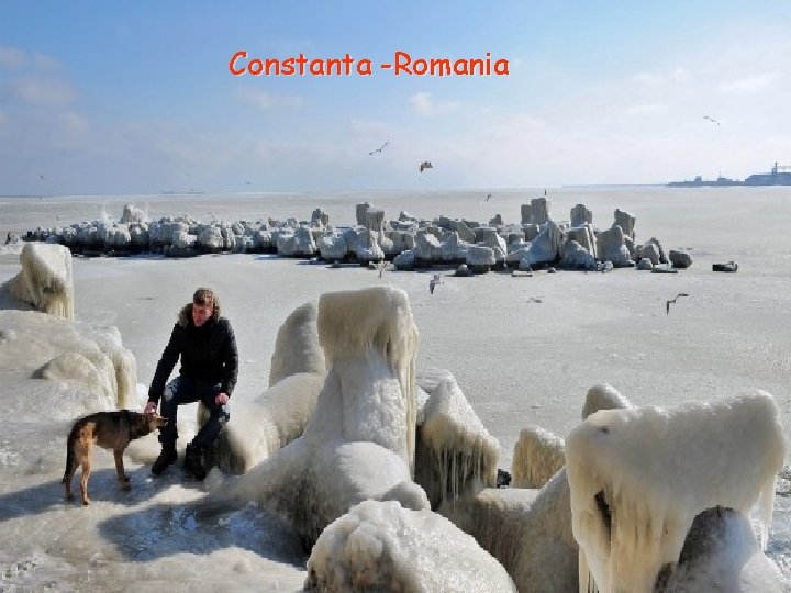 Constanta -Romania • Constanta -Romania 