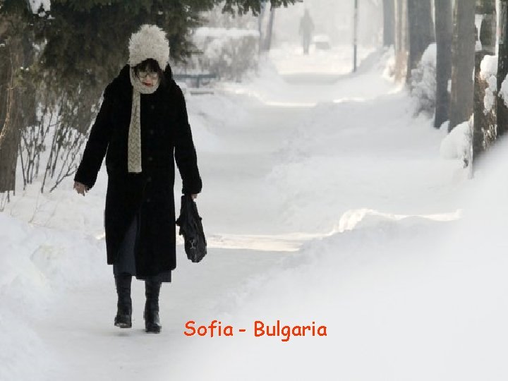 Sofia - Bulgaria 