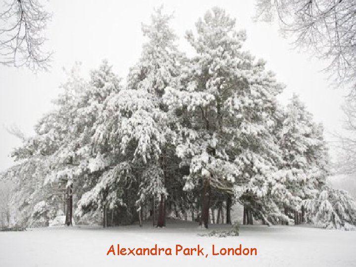 Alexandra Park, London 