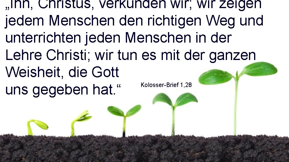 „Ihn, Christus, verkünden wir; wir zeigen jedem Menschen den richtigen Weg und unterrichten jeden