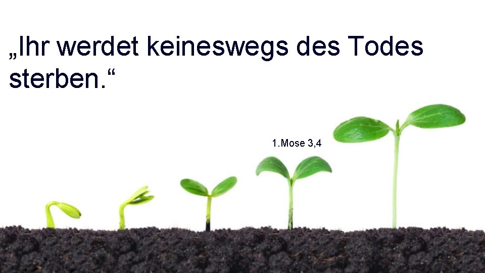 „Ihr werdet keineswegs des Todes sterben. “ 1. Mose 3, 4 