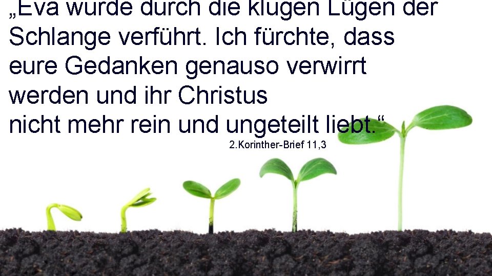 „Eva wurde durch die klugen Lügen der Schlange verführt. Ich fürchte, dass eure Gedanken