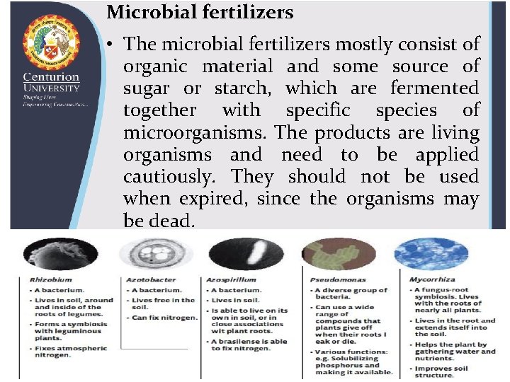 Microbial fertilizers • The microbial fertilizers mostly consist of organic material and some source