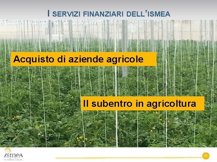 I SERVIZI FINANZIARI DELL’ISMEA Acquisto di aziende agricole a favore di giovani al primoagricole