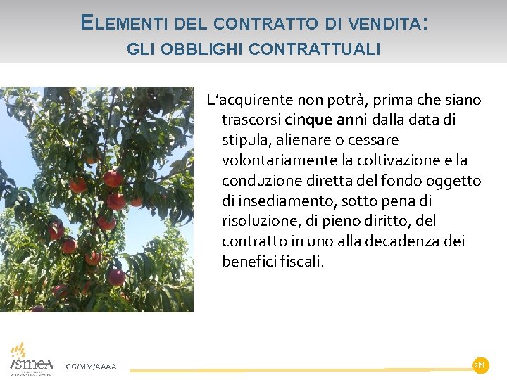 ELEMENTI DEL CONTRATTO DI VENDITA: GLI OBBLIGHI CONTRATTUALI L’acquirente non potrà, prima che siano