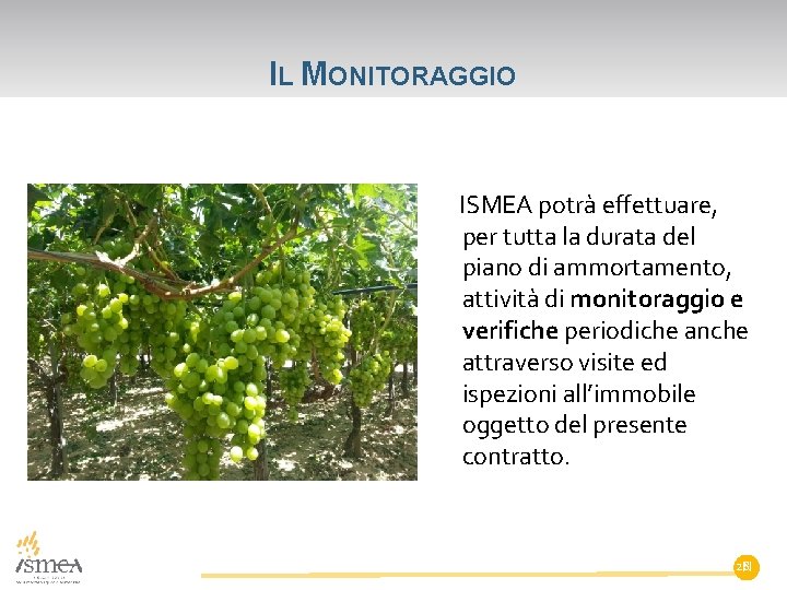 IL MONITORAGGIO ISMEA potrà effettuare, per tutta la durata del piano di ammortamento, attività