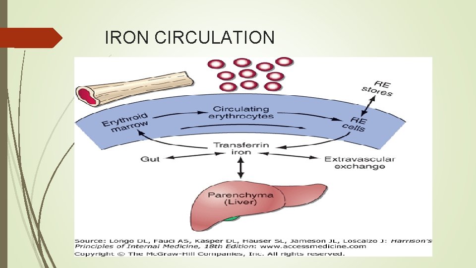 IRON CIRCULATION 