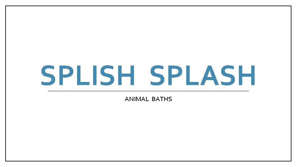 SPLISH SPLASH ANIMAL BATHS 