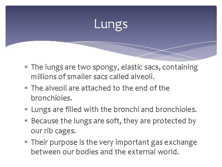 Lungs The lungs are two spongy, elastic sacs, containing millions of smaller sacs called