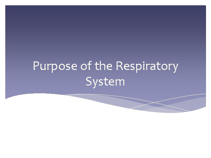 Purpose of the Respiratory System 