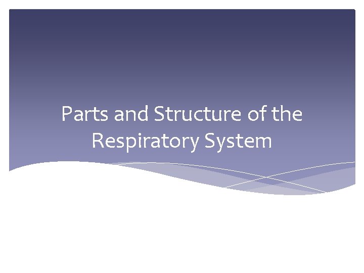 Parts and Structure of the Respiratory System 