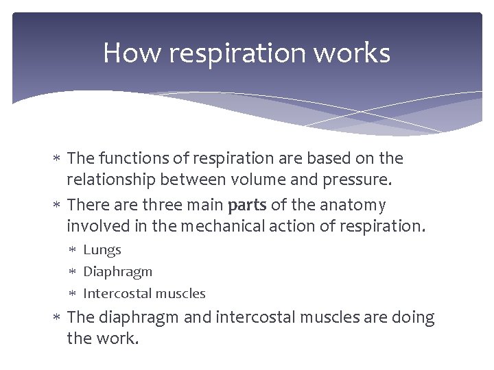 How respiration works The functions of respiration are based on the relationship between volume