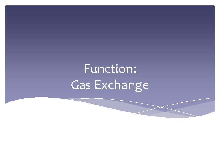 Function: Gas Exchange 