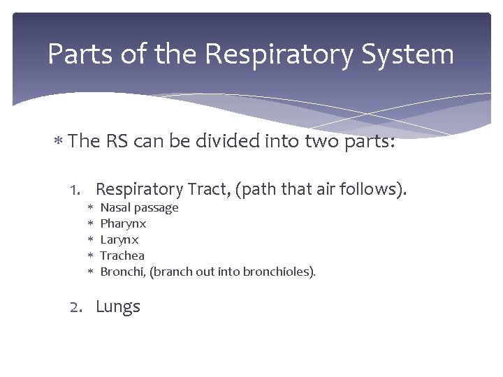 Parts of the Respiratory System The RS can be divided into two parts: 1.