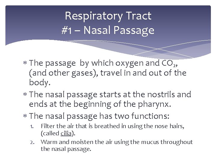 Respiratory Tract #1 – Nasal Passage The passage by which oxygen and CO₂, (and