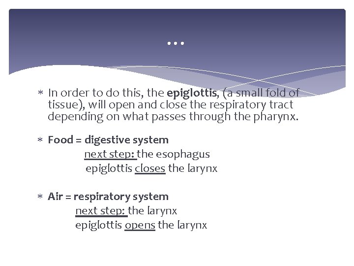 … In order to do this, the epiglottis, (a small fold of tissue), will