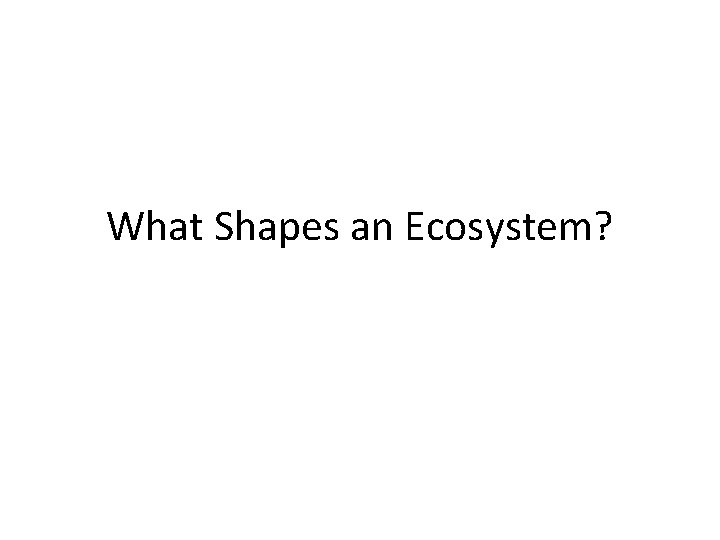 What Shapes an Ecosystem? 