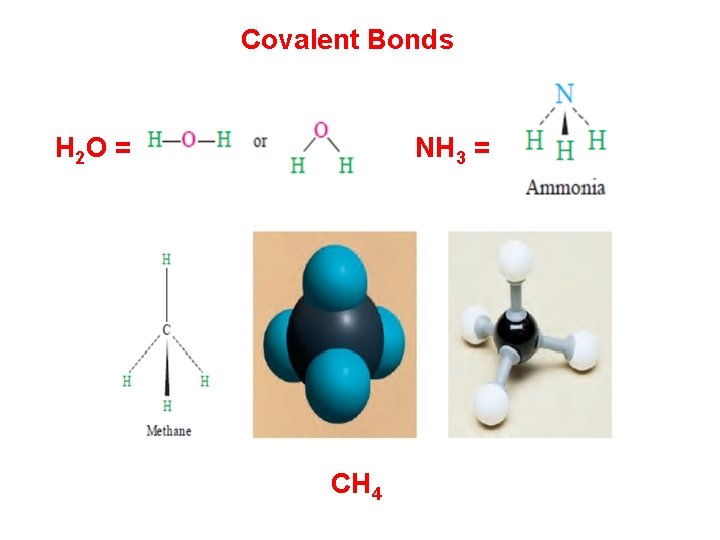 Covalent Bonds H 2 O = NH 3 = CH 4 