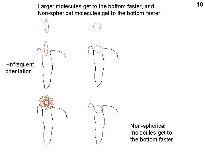 Larger molecules get to the bottom faster, and …. Non-spherical molecules get to the