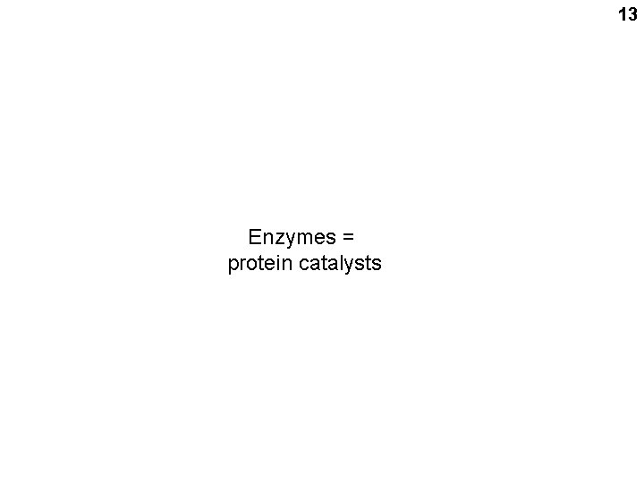 13 Enzymes = protein catalysts 