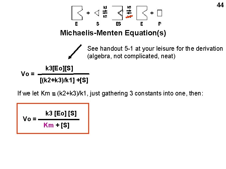 44 Michaelis-Menten Equation(s) See handout 5 -1 at your leisure for the derivation (algebra,