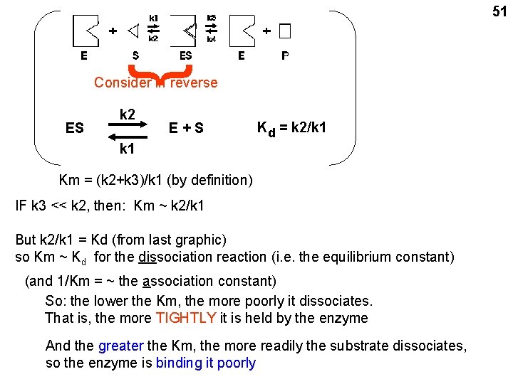 { 51 Consider in reverse ES k 2 E+S Kd = k 2/k 1