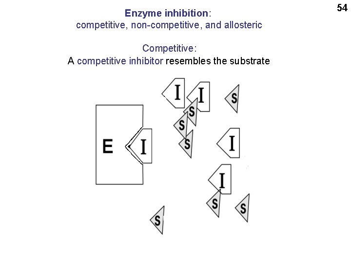 Enzyme inhibition: competitive, non-competitive, and allosteric Competitive: A competitive inhibitor resembles the substrate 54